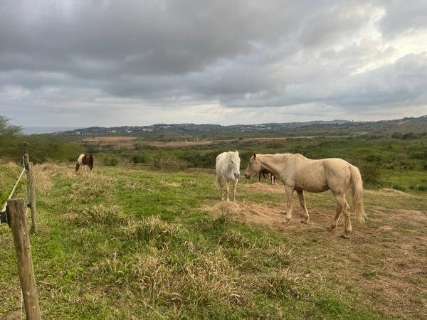 2 ha Farm
