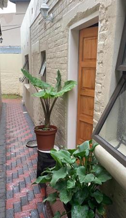 1 Bedroom Garden Cottage