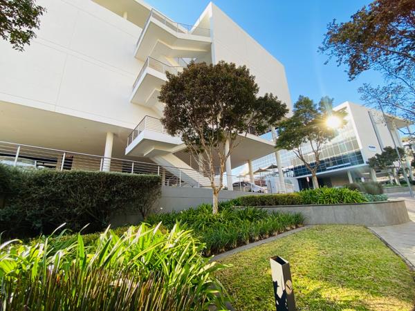 387 m² Office Space
