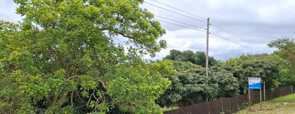 9 000 m² Smallholding