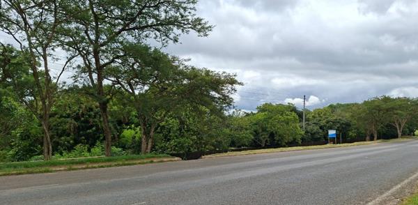 9 000 m² Smallholding