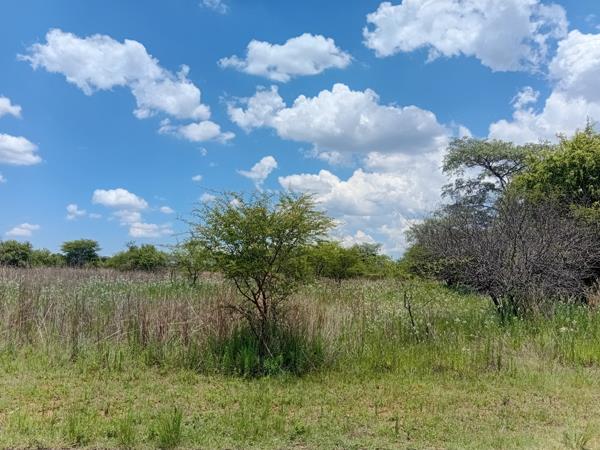 2 000 m² Land