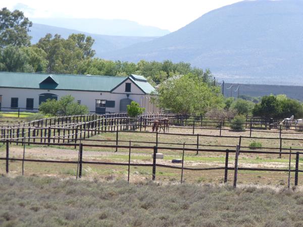 1 253.3 ha Farm