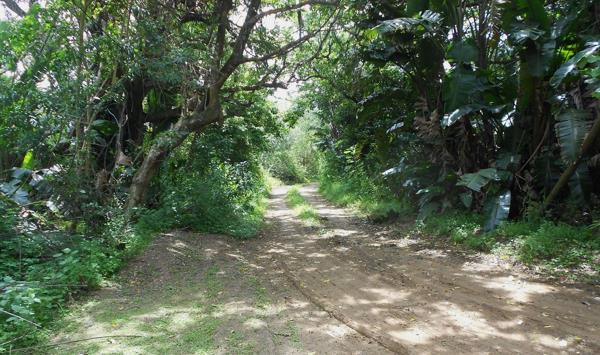 1 135 m² Land