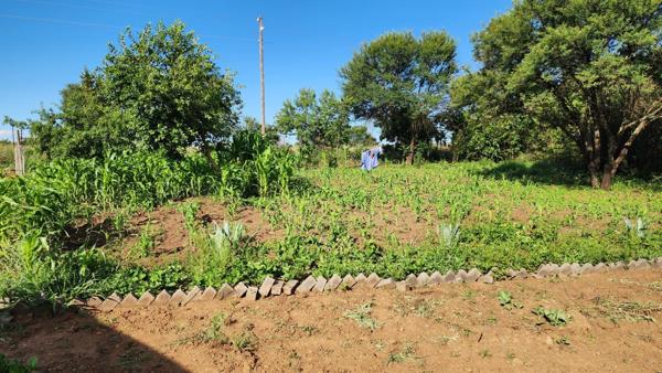 4.3 ha Land