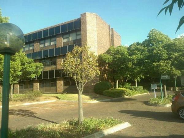 230  m² Office Space