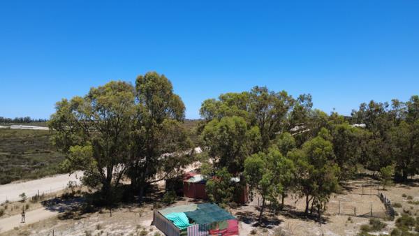 40 ha Farm with House