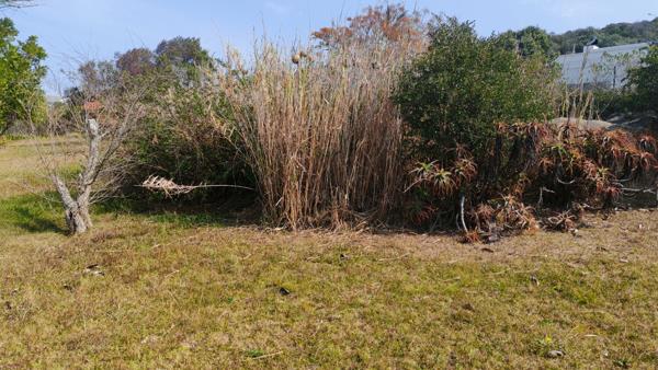 577 m² Land