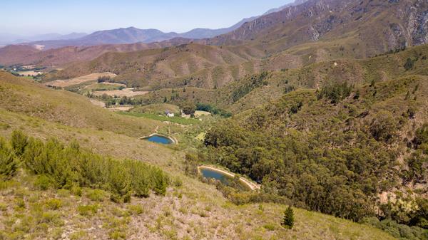 225 ha Farm