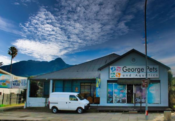 584  m² Retail Space