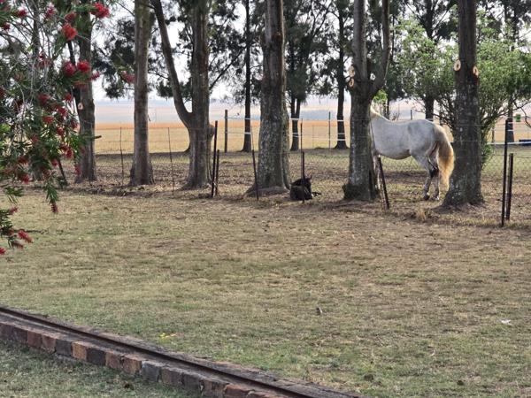 25 ha Agricultural Holding