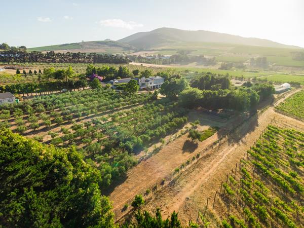 3.8 ha Farm with House