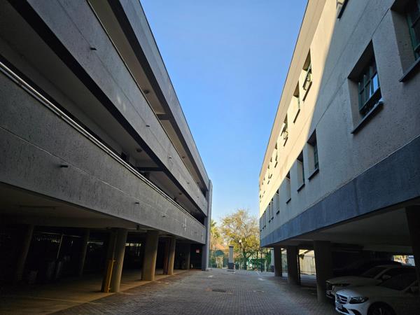 97 Bedroom Apartment