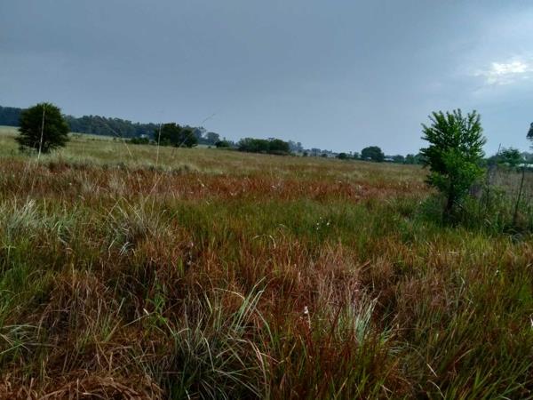 1.1 ha Land