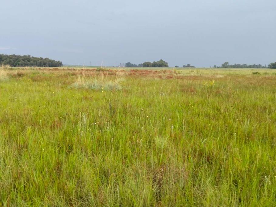1.1 ha Land