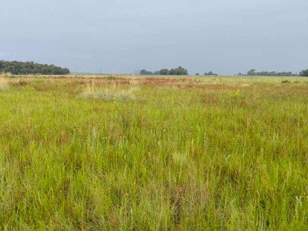 1.1 ha Land