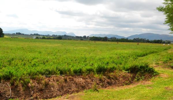 4 ha Farm