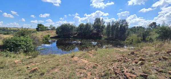 62.1 ha Agricultural Holding