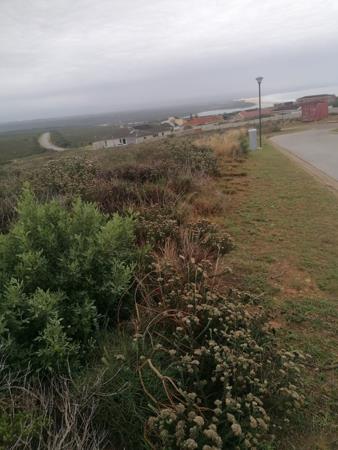 875 m² Land
