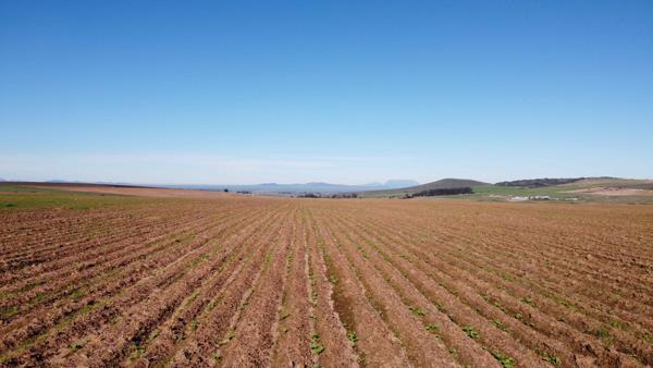 110 ha Farm
