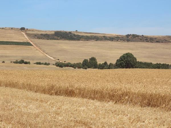 110 ha Farm