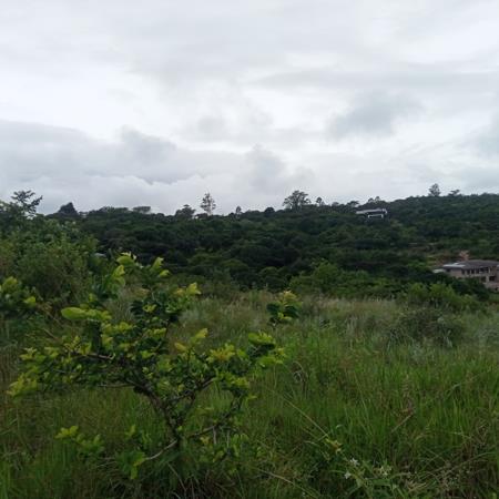 1.4 ha Land