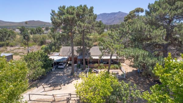 2 ha Smallholding
