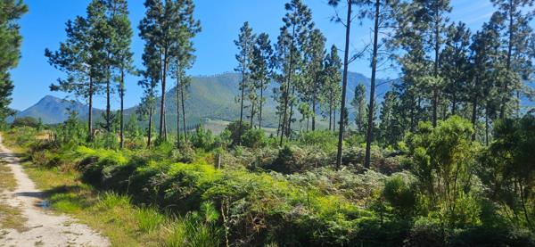 11.3 ha Farm
