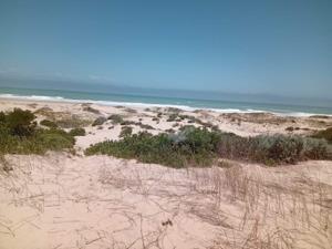 Vacant Land in Paradise Beach