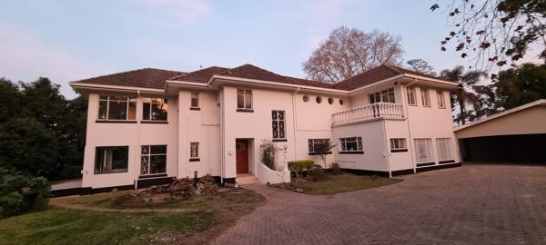 40 m² Office Space