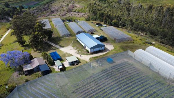 2.6 ha Farm