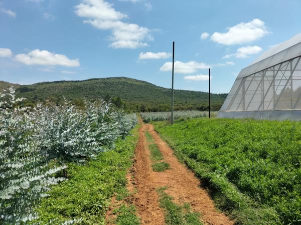 8.7 ha Commercial Farm