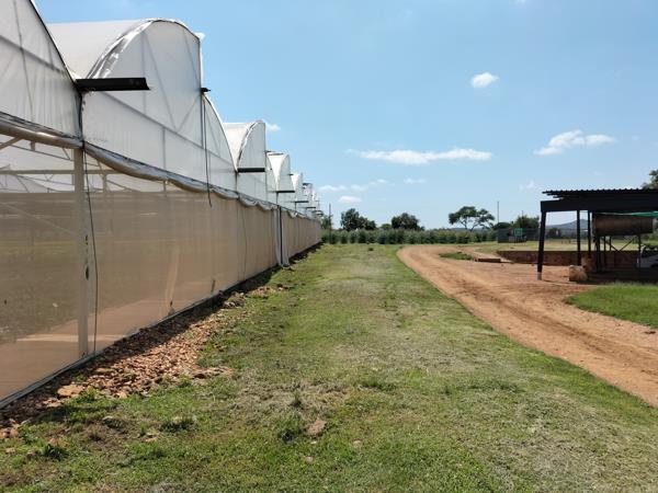 9.1 ha Commercial Farm