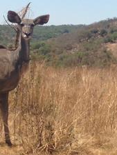 Vacant Land in Lanseria and surrounds