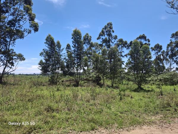 4 ha Commercial Farm