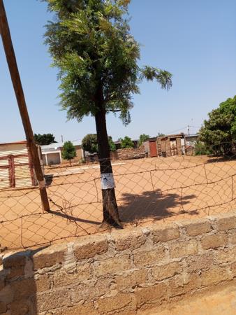 64 m² Land
