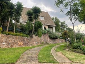 House in Observatory