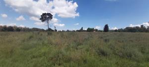 Vacant Land in Walkers Fruit Farms