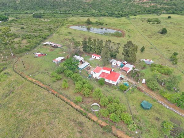 11.8 ha Smallholding
