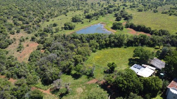 201 ha Farm with House