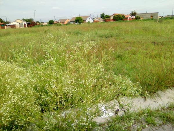 297 m² Land