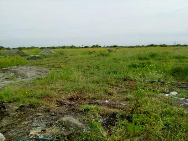 275 m² Land