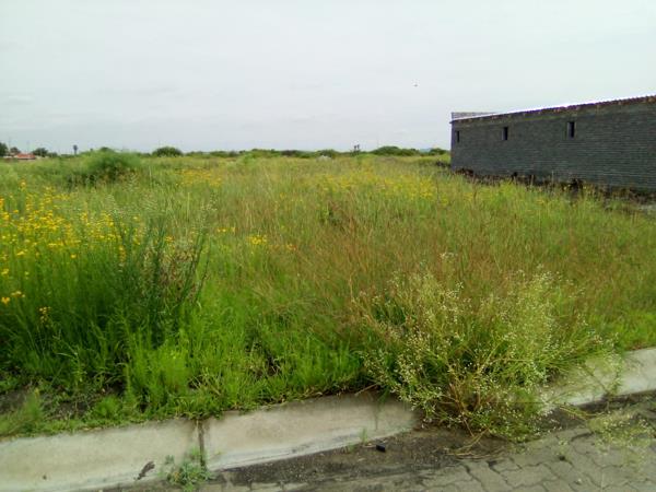 311 m² Land