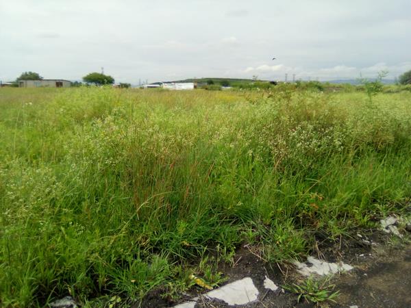 540 m² Land
