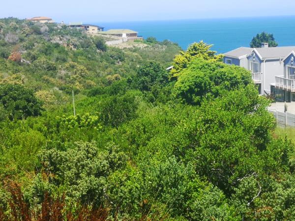 910 m² Land