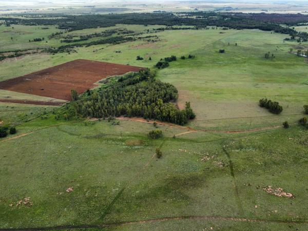 95 ha Farm