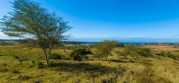 1.2 ha Land