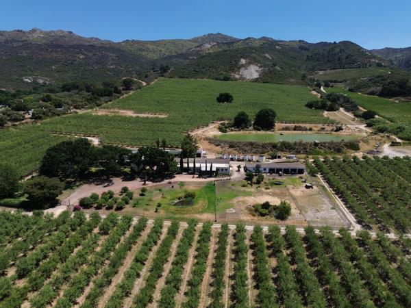 56.2 ha Farm