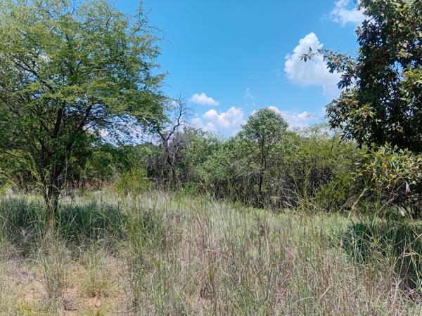 1 225 m² Land