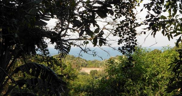 1 285 m² Land